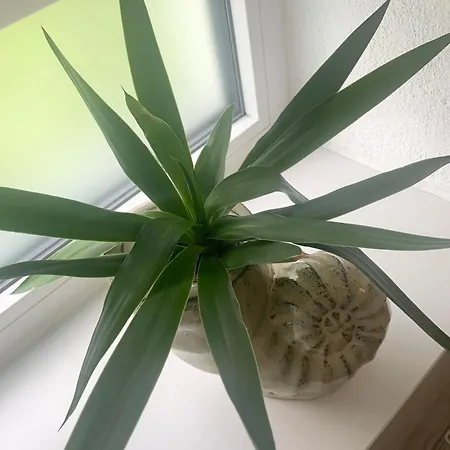 Casa Diego Mit Garten * Bielefeld