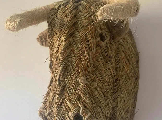 Casa Diego Mit Garten Semesterbostad