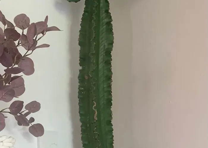 Casa Diego Mit Garten Bielefeld