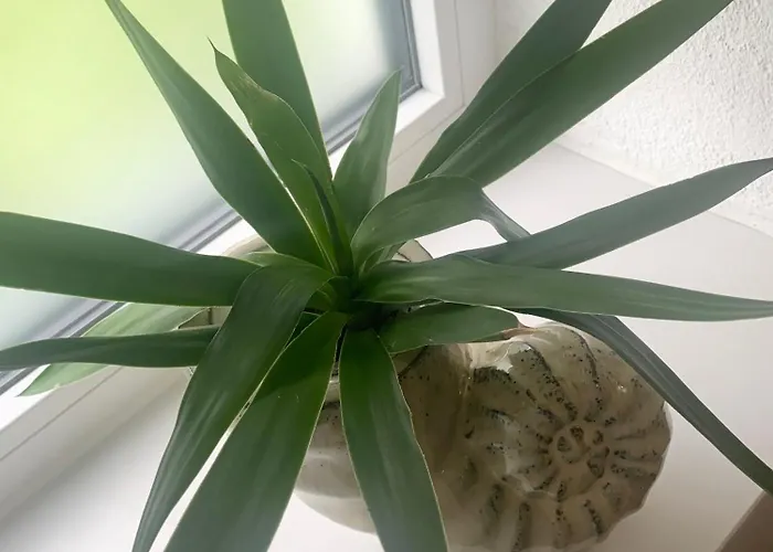 Casa Diego Mit Garten * Bielefeld